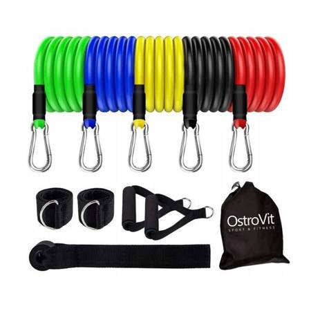 OstroVit Jeu de 5 bandes de résistance pour l'exercice Expander