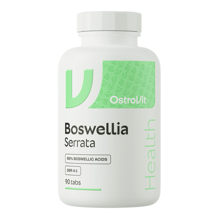 OstroVit Encens indien VEGE 90 comprimés