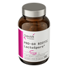 OstroVit Pharma PRO-60 BIOTIC LactoSpore 60 gélules